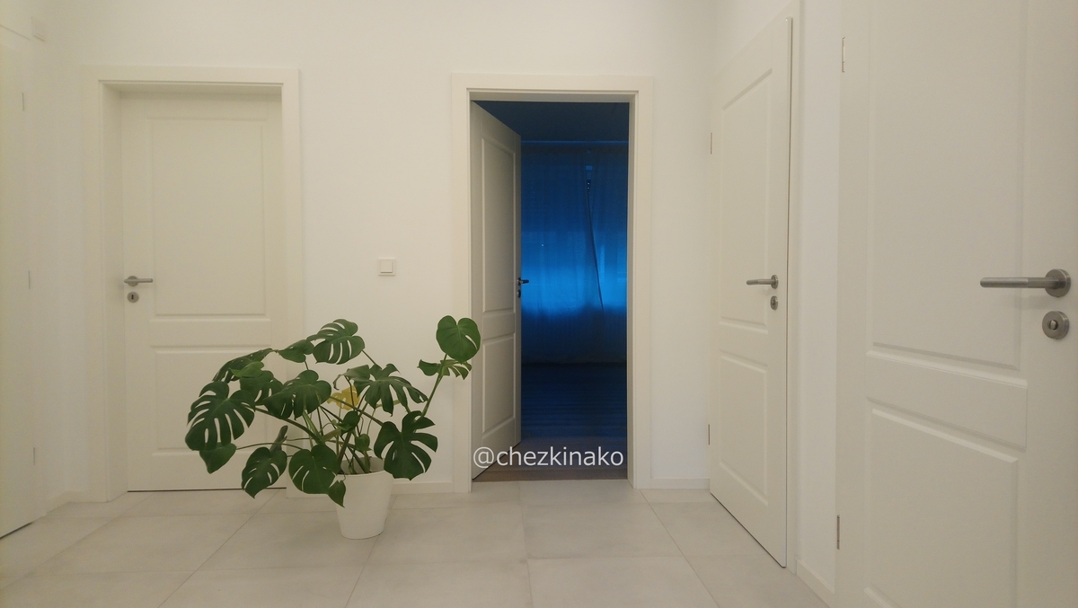 f:id:chezkinako:20210301050650j:plain