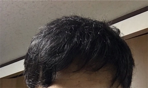 f:id:chhgw435689:20190811041413j:image