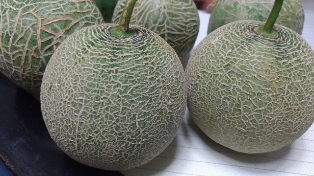 f:id:chi-45:20201116172242j:image