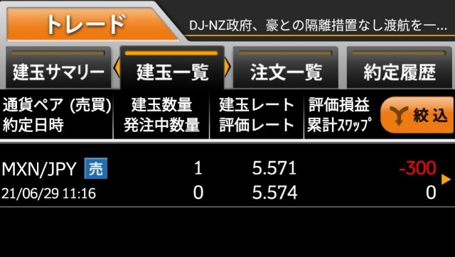 f:id:chi-45:20210629210246j:image