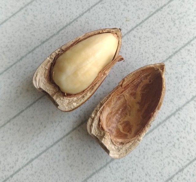 f:id:chi-45:20210920152016j:image