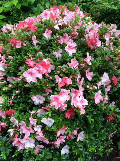 f:id:chi-45:20210923114527j:image