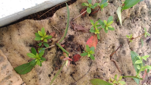 f:id:chi-45:20210923162108j:image