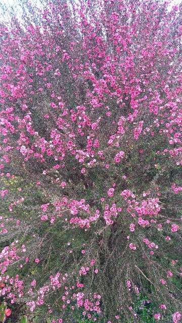 f:id:chi-45:20211017145736j:image