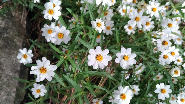 f:id:chi-45:20211017145834j:image