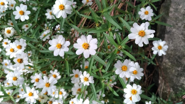 f:id:chi-45:20211017145907j:image