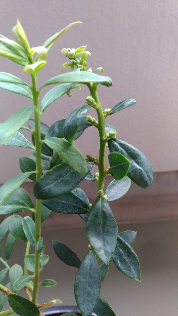 f:id:chi-45:20211112152116j:image