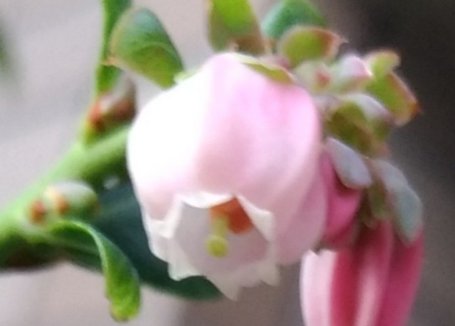 f:id:chi-45:20211125192017j:image
