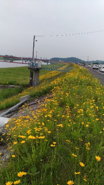 f:id:chi-45:20220523063134j:image