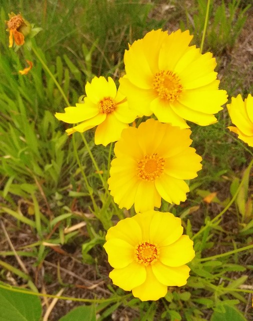 f:id:chi-45:20220523063538j:image