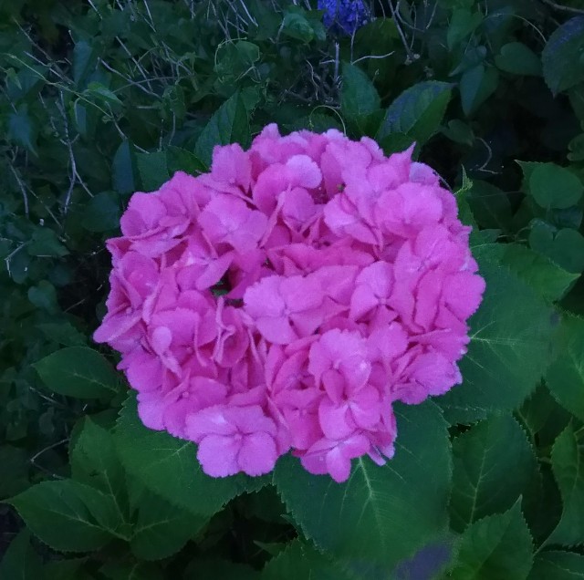 f:id:chi-45:20220613055607j:image