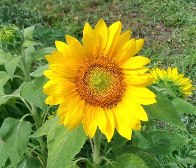 f:id:chi-45:20220721202128j:image