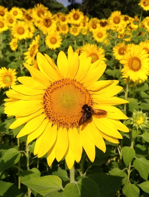 f:id:chi-45:20220722105307j:image