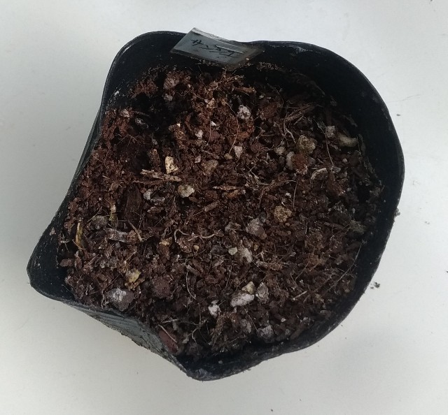 f:id:chi-45:20220828185133j:image