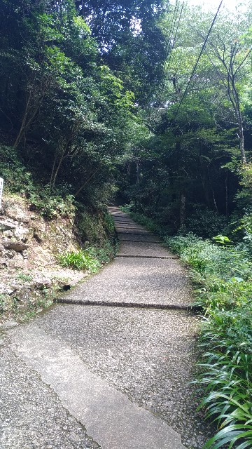 f:id:chi-45:20220830070834j:image