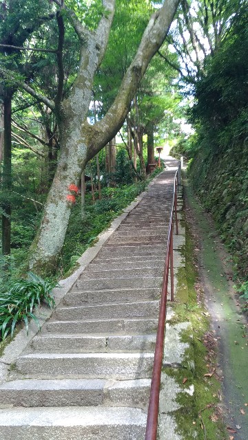 f:id:chi-45:20220830074426j:image
