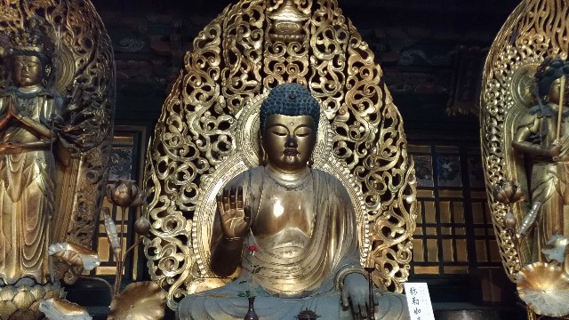 f:id:chi-45:20220831071251j:image