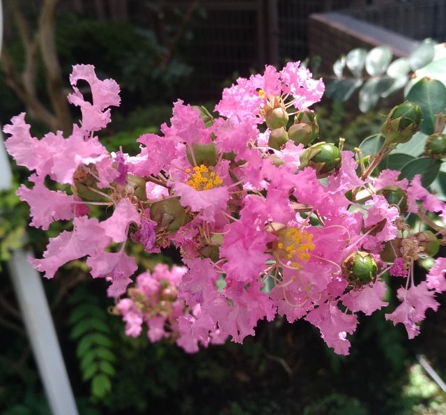 f:id:chi-45:20220903141116j:image