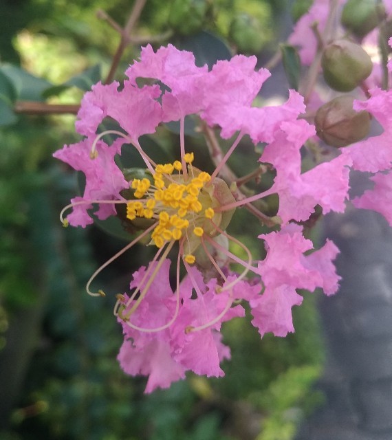 f:id:chi-45:20220903141737j:image