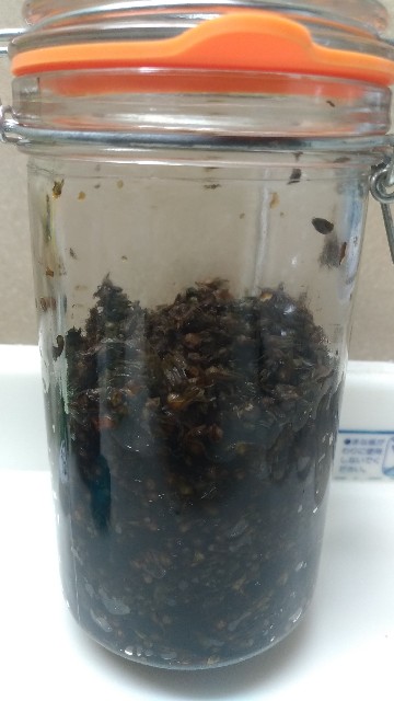 f:id:chi-45:20221007185425j:image