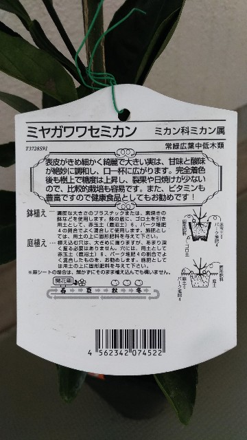 f:id:chi-45:20230301162131j:image
