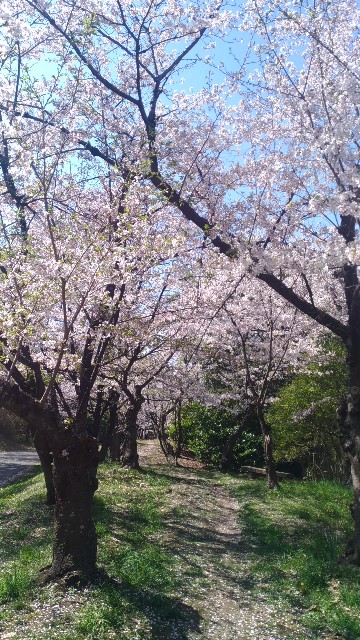 f:id:chi-45:20230401111500j:image