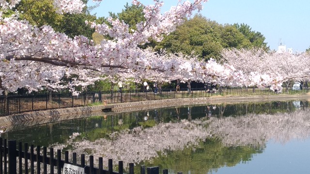 f:id:chi-45:20230401111751j:image