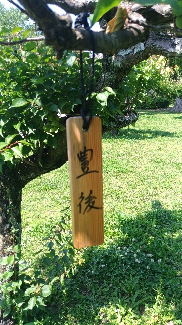 f:id:chi-45:20230516121608j:image