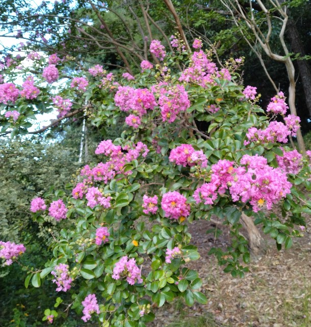 f:id:chi-45:20230905110428j:image
