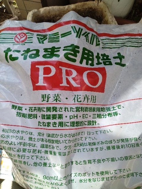 f:id:chi-45:20240209151724j:image