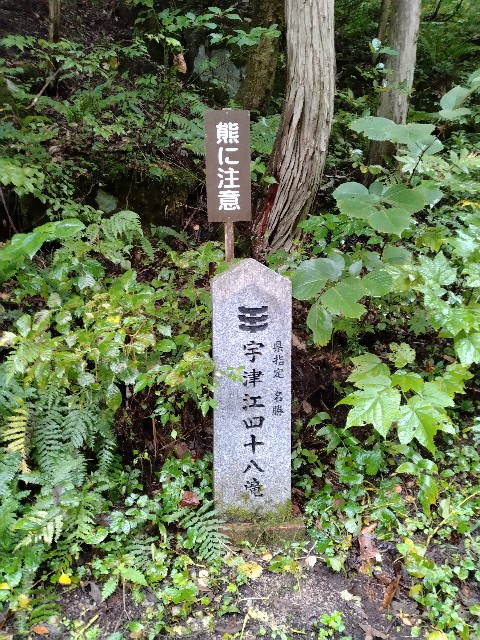 f:id:chi-45:20241009144424j:image