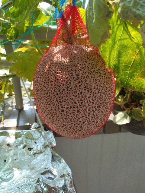 f:id:chi-45:20250828131629j:image f:id:chi-45:20250828131629j:image