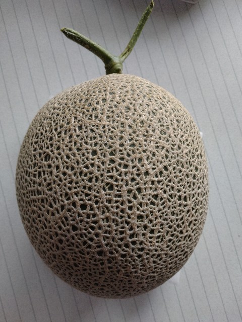 f:id:chi-45:20250828131853j:image f:id:chi-45:20250828131853j:image