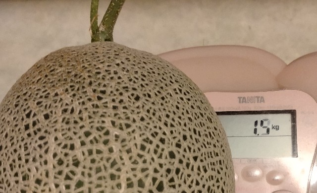 f:id:chi-45:20250828132129j:image f:id:chi-45:20250828132129j:image