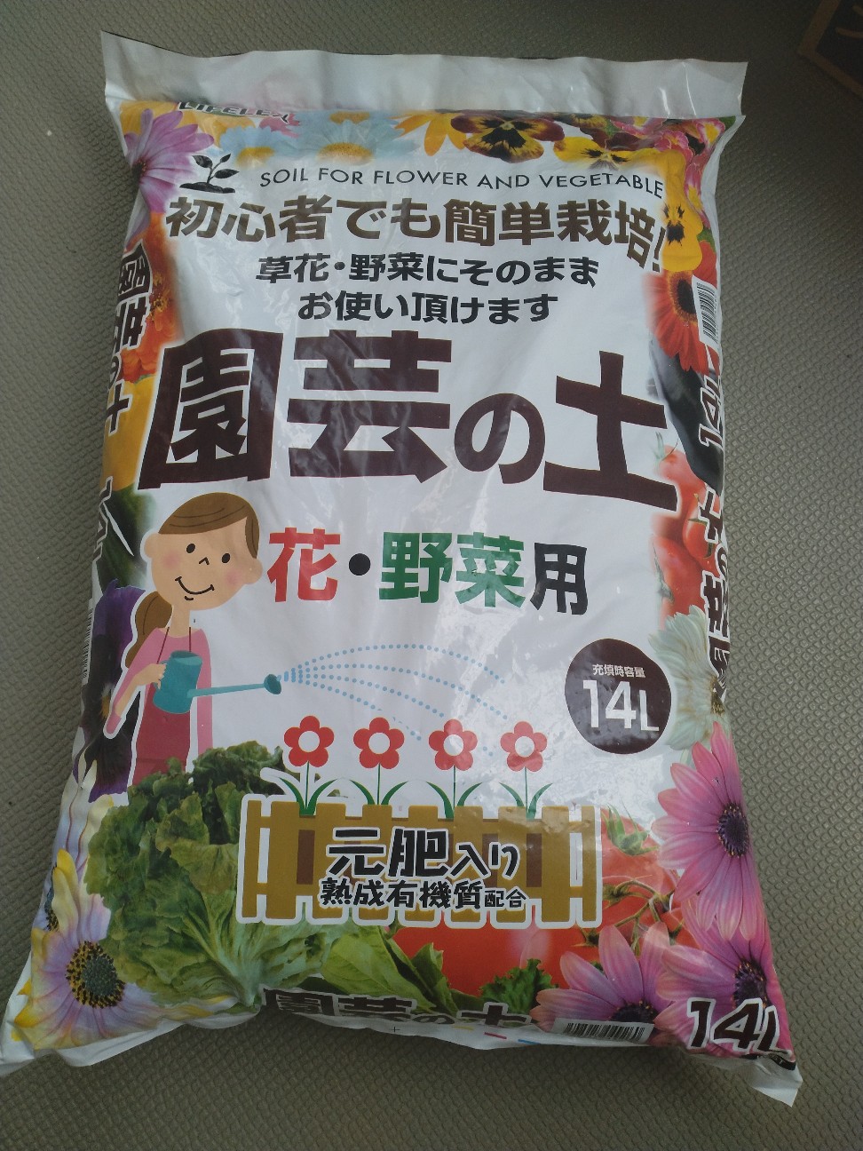 f:id:chi-45:20260220161121j:image