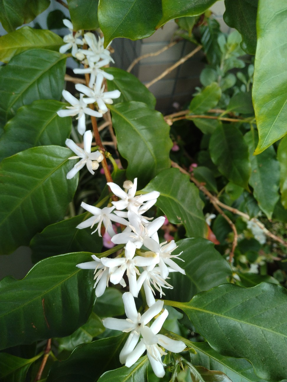 f:id:chi-45:20260618124520j:image