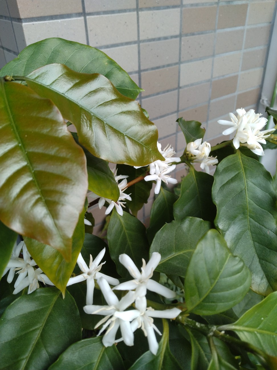 f:id:chi-45:20260618124521j:image