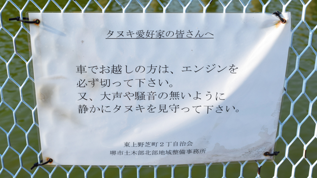 f:id:chi-midoro:20180802180224j:plain