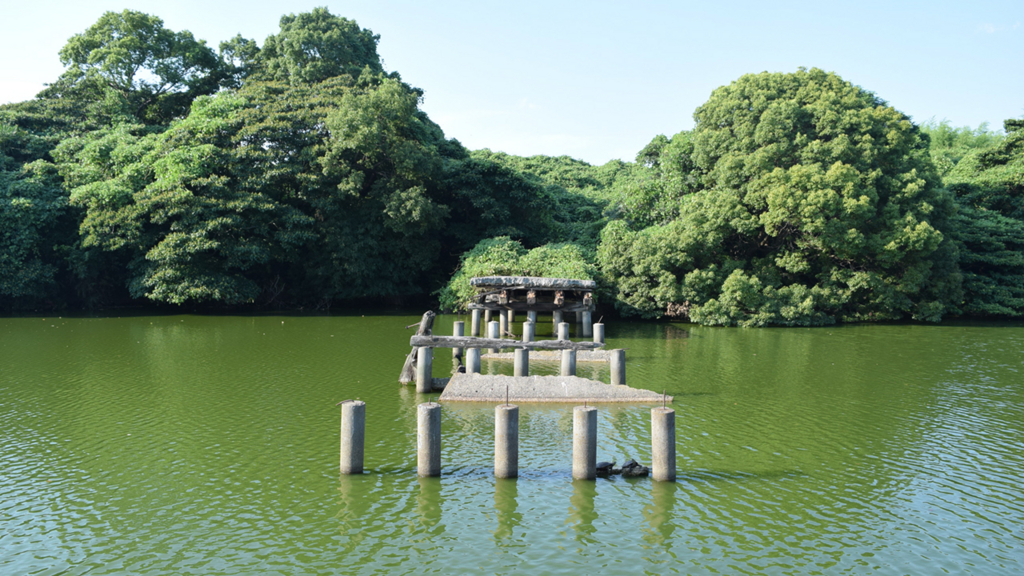 f:id:chi-midoro:20180802180246j:plain