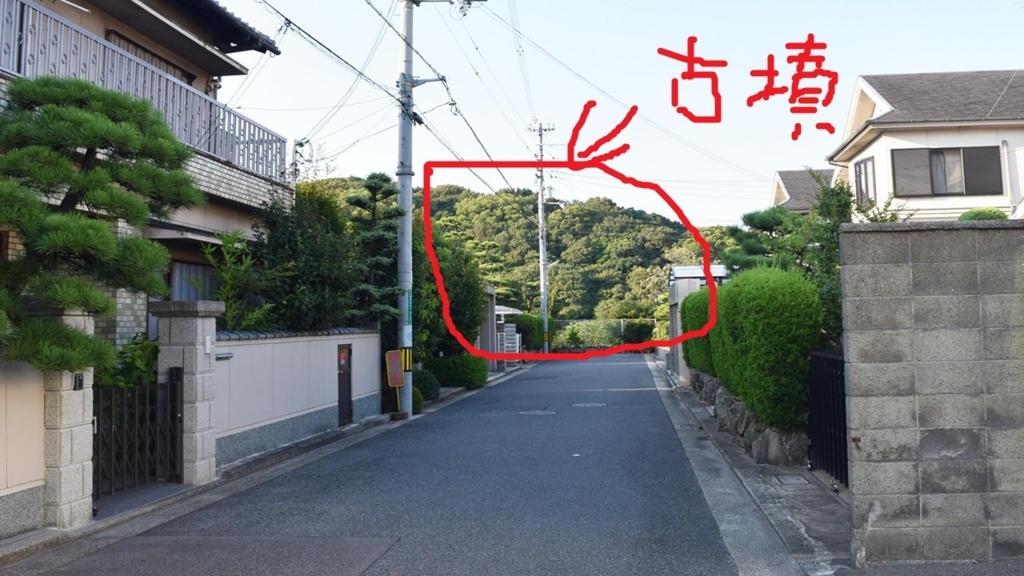 f:id:chi-midoro:20180802180755j:plain