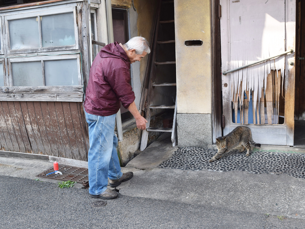 f:id:chi-midoro:20181224022522j:plain f:id:chi-midoro:20181224022522j:plain