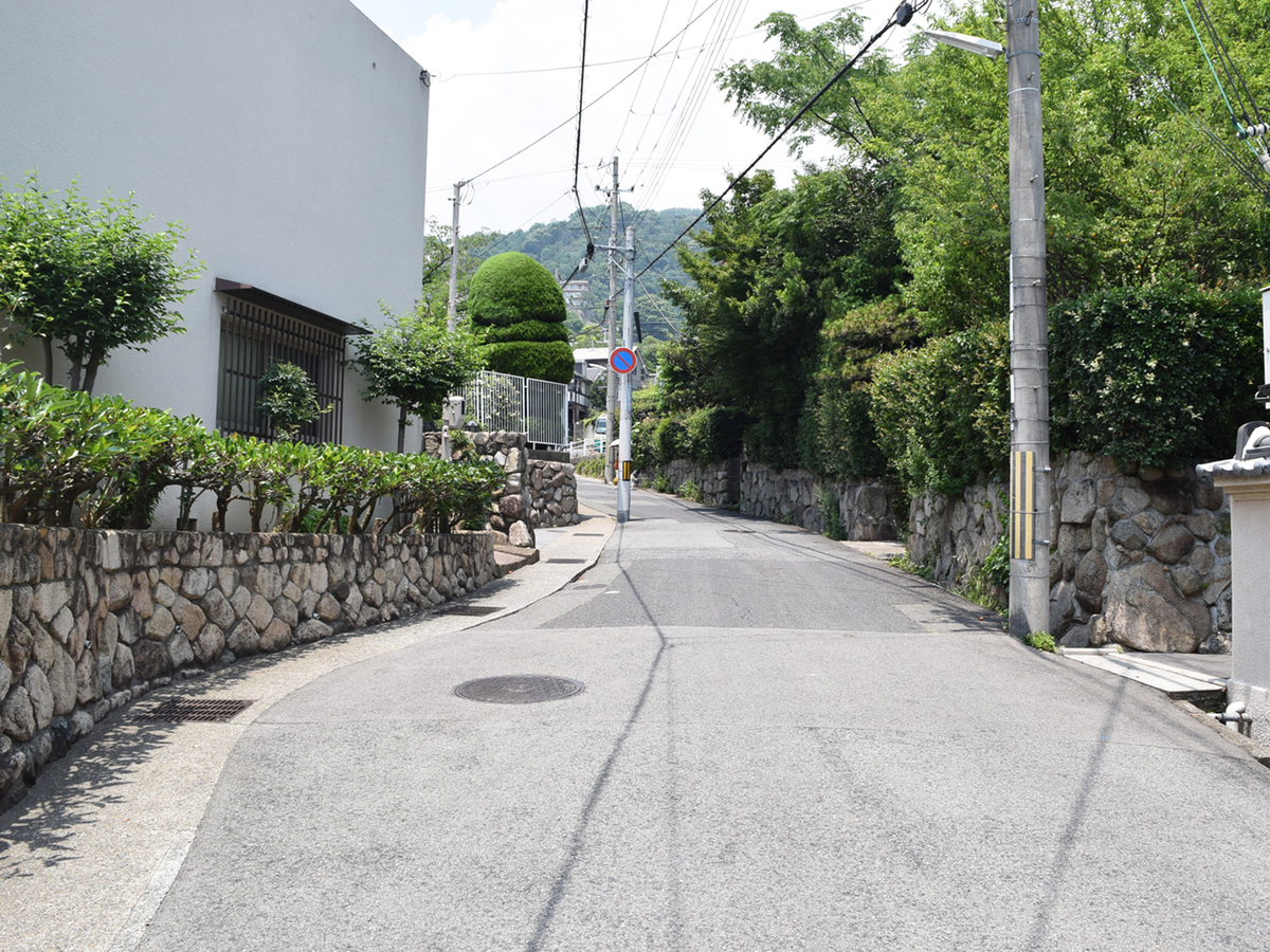f:id:chi-midoro:20190630134543j:plain