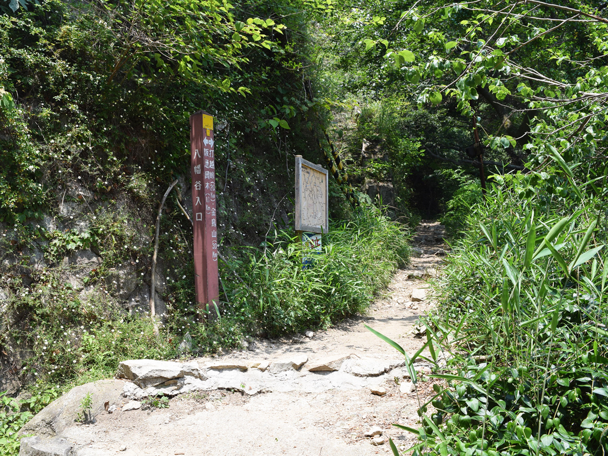 f:id:chi-midoro:20190630134617j:plain