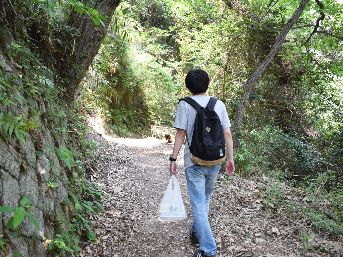 f:id:chi-midoro:20190630134638j:plain