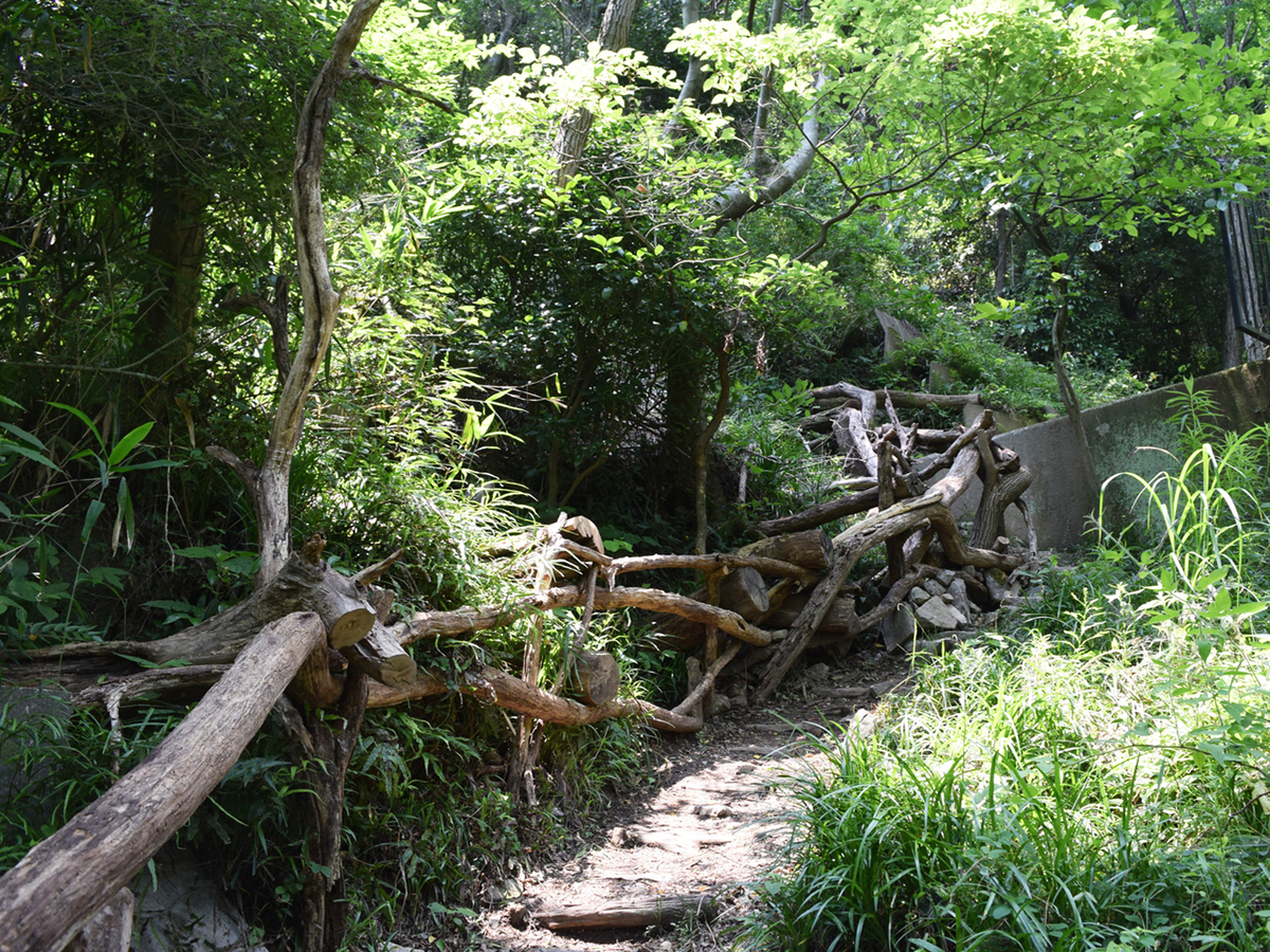 f:id:chi-midoro:20190630134831j:plain