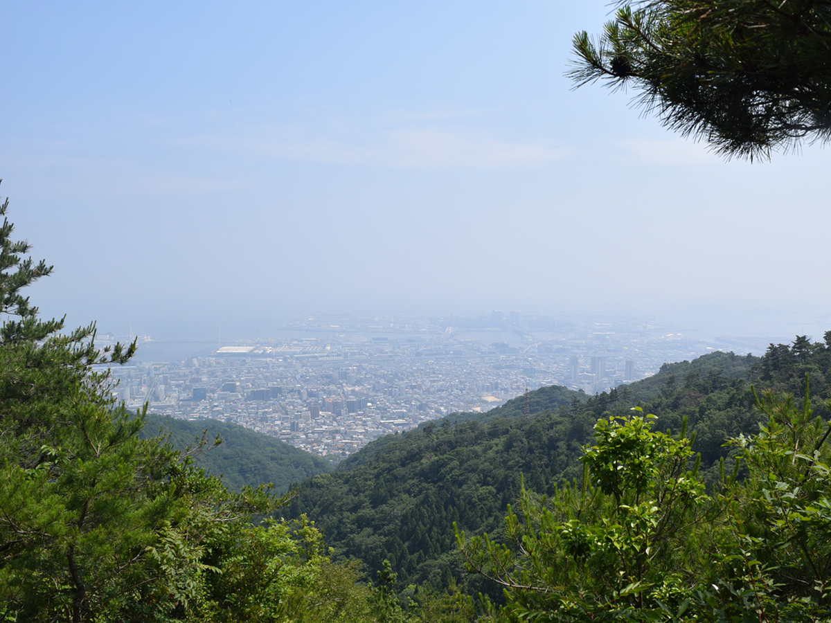 f:id:chi-midoro:20190630135157j:plain