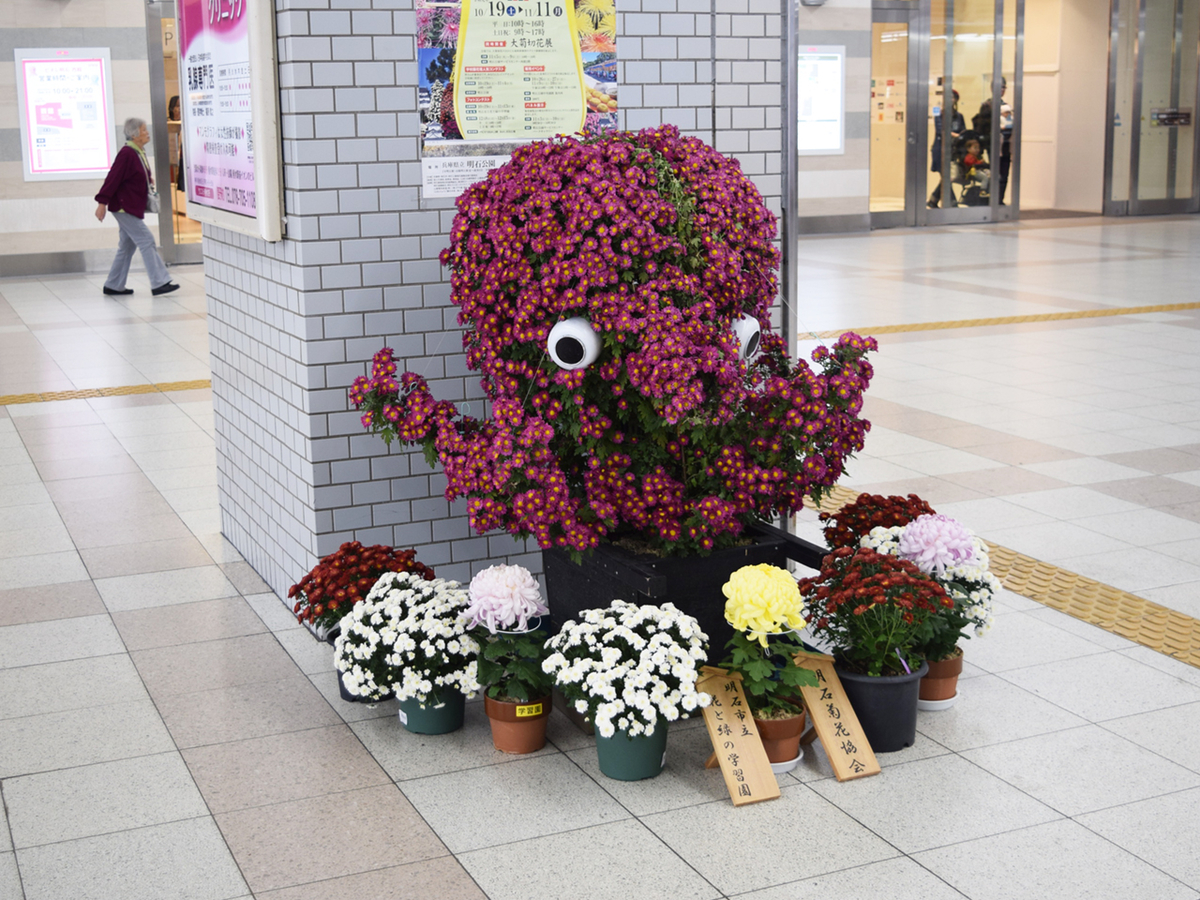 f:id:chi-midoro:20191113123606j:plain f:id:chi-midoro:20191113123606j:plain