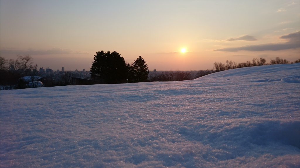 f:id:chi-ron-nu-p:20170329055729j:plain f:id:chi-ron-nu-p:20170329055729j:plain