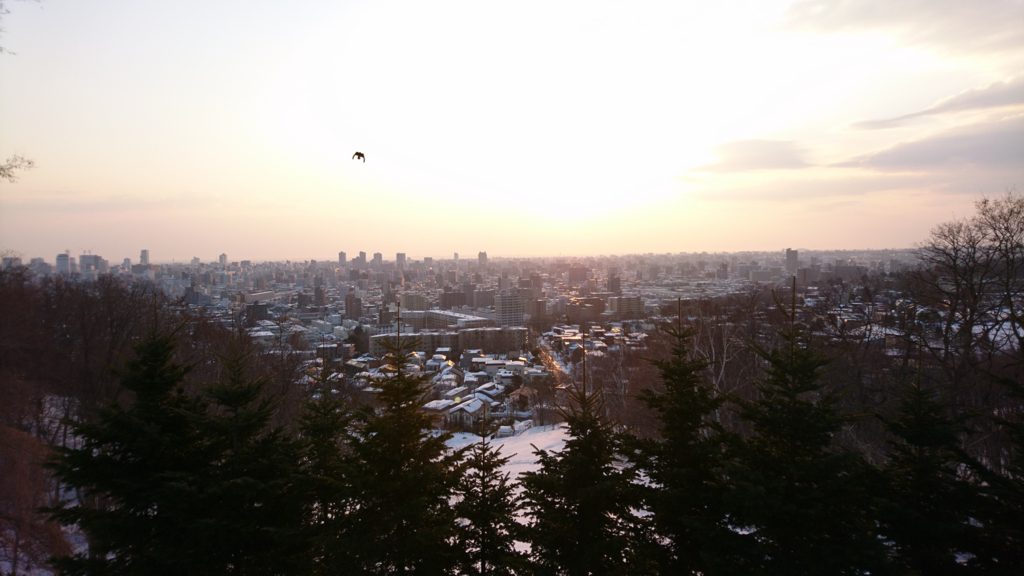 f:id:chi-ron-nu-p:20170329060153j:plain f:id:chi-ron-nu-p:20170329060153j:plain