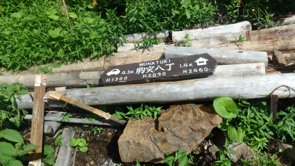 f:id:chi-sk8:20160724112056j:plain